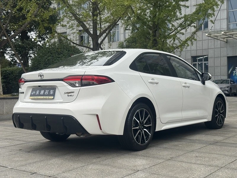 picture6